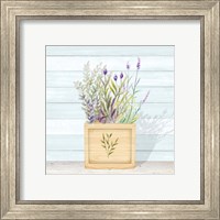 Framed 'Lavender and Wood Square IV' border=