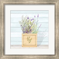 Framed Lavender and Wood Square IV