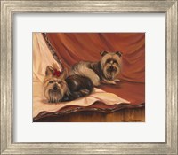 Framed Terrier Couple