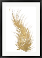 Framed Gold Feather II