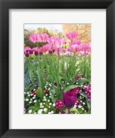 Framed Spring Garden