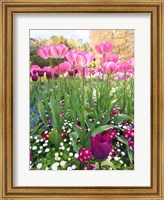 Framed Spring Garden