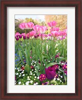 Framed Spring Garden