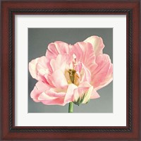 Framed Pink Bloom
