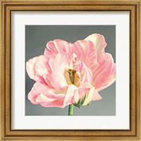 Framed Pink Bloom