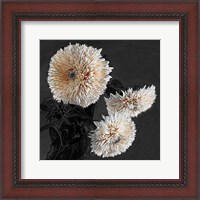 Framed Sunflowers II