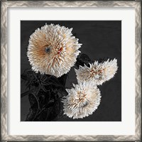 Framed Sunflowers II