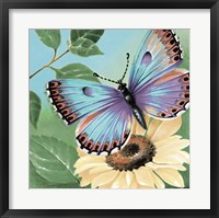 Framed Butterfly Flowers II