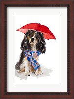 Framed King Charles Spaniel In The Rain
