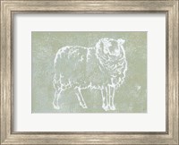 Framed Country Sheep