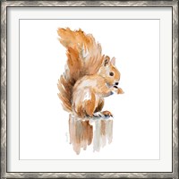 Framed Watercolor Squirrel