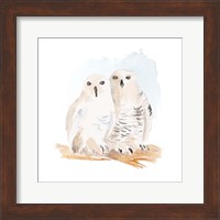 Framed Watercolor Snowy Owls