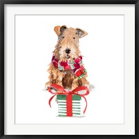 Framed Christmas Airedale Terrier