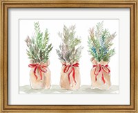 Framed Spruce Wrapped in Burlap