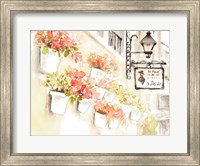 Framed Paris Flowerpots