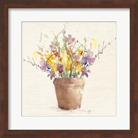 Framed Potted Wildflowers I