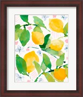 Framed Garden Lemons