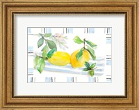 Framed Spring Citron