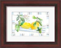 Framed Spring Citron