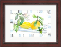 Framed Spring Citron