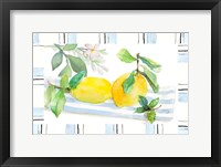 Framed Spring Citron