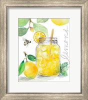 Framed Bee-Friend The Lemons and Lemonade
