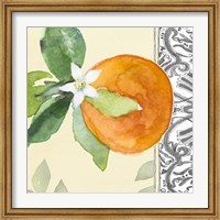 Framed Orange Blossoms I