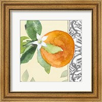 Framed Orange Blossoms I