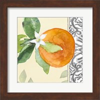 Framed Orange Blossoms I