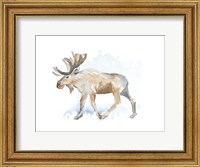 Framed Watercolor Moose