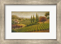 Framed Vineyard In The Sun I