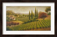 Framed Vineyard In The Sun I