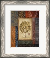 Framed Eucalyptus Tree II