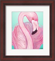 Framed Flamingo Portrait
