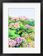 Framed Garden Beauties I