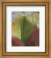 Framed Butterfly Palm I