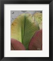 Framed Butterfly Palm I