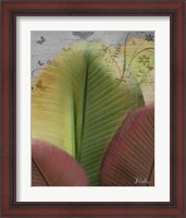 Framed 'Butterfly Palm I' border=