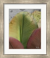 Framed Butterfly Palm I