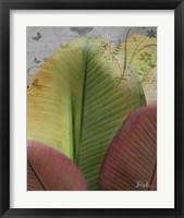 Framed 'Butterfly Palm I' border=
