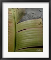 Framed Butterfly Palm II