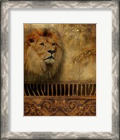 Framed Elegant Safari IV (Lion)