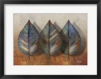 Three Amigos II Framed Print