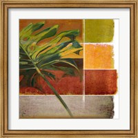 Framed Morning Light I