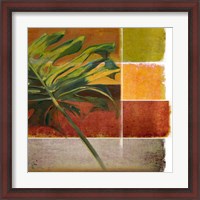 Framed Morning Light I