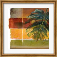 Framed Morning Light II