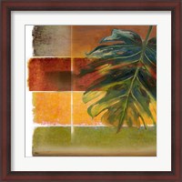 Framed 'Morning Light II' border=