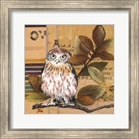 Framed 'Little Owls I' border=