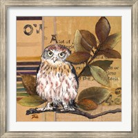 Framed Little Owls I