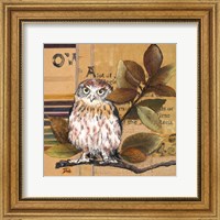 Framed Little Owls I
